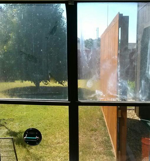 Pictures for TrueBlue Window Repair in Plano, TX 75075